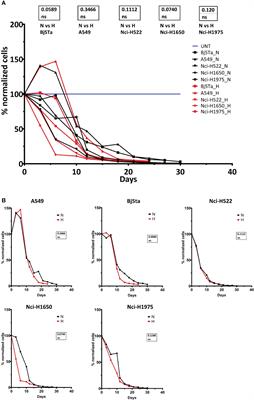 Efficiency of moderately hypofractionated radiotherapy in NSCLC cell model